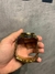 RELOGIO BVGARI DOURADO BR na internet