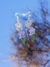 Aretes florales - comprar en línea