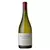 Poligonos Valle de Uco Sauvignon Blanc Tupungato - comprar online