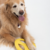 Juguete Frisbee para Perros - OOOGY