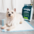 Paños Sanitarios de 56x56 Cm para Perros 50 Unidades - tienda online