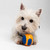 Juguete Pelota para Perros - tienda online