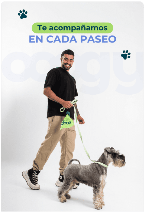 Carrusel 1