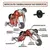 Roda Abdominal Exercícios Lombar Treino Funcional - Workout FitNp