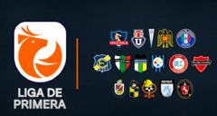 Banner de la categoría Colección Fútbol Chileno