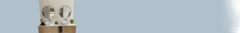 Banner de la categoría Circulares