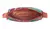 BOLSA ZIRIGUIDUM FARM HONOLULU CARIOCA - comprar online