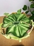 Bolsa Farm Carioca Tote Bag Revoada Tropical Arara Verde - comprar online