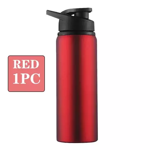 Garrafa Inox Térmica - comprar online