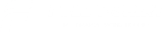 FULL T-SHIRT