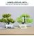 Árvore Bonsai Artificial Pequena - comprar online