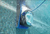 Robot Dolphin S300i Limpia Piscina Bluetooth App Pared Flota - MADISON TEC