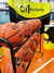 Pelota De Basquet Ch1 Sports Cab2500 S7 Profesional Cab Color Naranja - MADISON TEC
