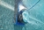 Robot Dolphin S300i Limpia Piscina Bluetooth App Pared Flota - MADISON TEC
