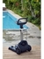 Robot Dolphin S300i Limpia Piscina Bt App Pared Flota Oferta - comprar online