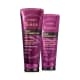 Combo Siàge Pro Cronology: Shampoo 250ml + Condicionador 200ml - loja online