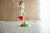 MINI GOLF - tienda online