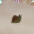 Pingente de caracol