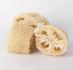 Esponjitas Vegetales – Pack x3