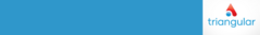 Banner de la categoría Triangular