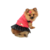 Conjunto Pet Vestido de Corino com Colete de Carapinha Tamanho 5
