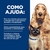 Alimento úmido Hill's Prescription Diet A/D Cães e Gatos em Condições Críticas - 156gr - comprar online
