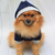 Moletom Pet Flanelado com Touca, Bolso e Gancho para Guia - Azul e Cinza Tamanho 7 - Herdeiros Pets