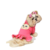 Vestido Pet Moletom Flanelado com Saia e Aplique de Ursinha Milka - comprar online