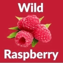 WILD RASPBERRY - comprar en línea