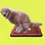 Tapete sanitário para cães Lavável animais de estimação do cão à prova de - comprar online