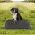 Almofada de assento para animais de estimação, cama para viagem, portátil, ao - comprar online