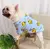 Adorável leopardo roupas para cães de estimação flanela macia inverno filhot - loja online