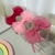 Tiara Organza