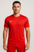 Camiseta Nike Dri-FIT Academy 23