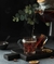Canela em Pau - comprar online