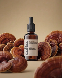 REISHI - Ganoderma Lucidum