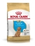 ALIMENTO ROYAL CANIN PUPPY CANICHE 3 KGS. - comprar online