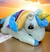 Peluches con manta adentro en internet