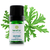Óleo Essencial Gerânio Brasil Orgânico Terra Flôr 5 ml - comprar online