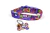 Collar y Placa para Perro - tienda en línea