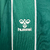 Imagem do Camisa Werder Bremen I 2025/26 versão Torcedor Masculina