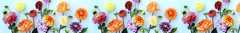 Banner da categoria Flores do Campo