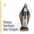 RESINA - NOSSA SENHORA DAS GRAÇAS ESPECIAL - 30CM - comprar online