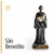 RESINA - SÃO BENEDITO - 40CM - comprar online