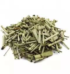Cavalinha - comprar online