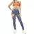 CONJUNTO WW