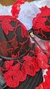 Conjunto Lingerie Diana - Vermelho c/ Preto na internet