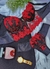 Conjunto Lingerie Diana - Vermelho c/ Preto - comprar online