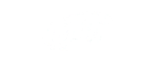 BILLI & CO - Venta Minorista