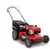 Cortadora De Pasto Cesped Nafta Explosion Craftsman 150cc